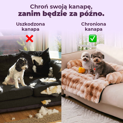 Chroń swoją kanapę przed sierścią, brudem i zniszczeniem