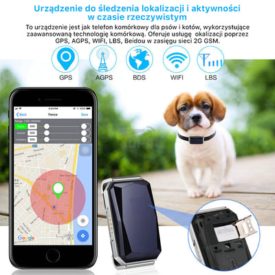 Lokalizator GPS dla psów i kotów