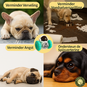 Inteligentny dozownik karmy dla małych zwierząt