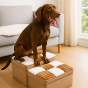 Stylowe ręcznie wykonane schodki dla psa z wzorem w kratkę i przestrzenią do przechowywania