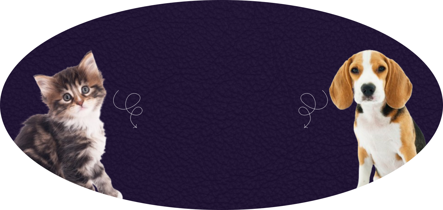 subscribe_background