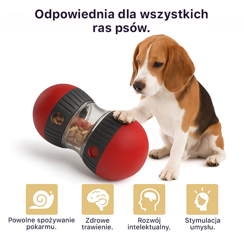 Aktywna zabawka na przysmaki łącząca zdrową dietę z radosną zabawą