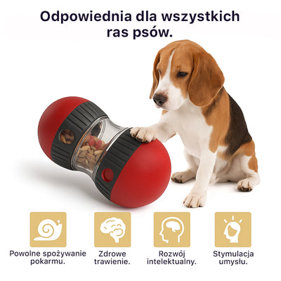 Aktywna zabawka na przysmaki łącząca zdrową dietę z radosną zabawą