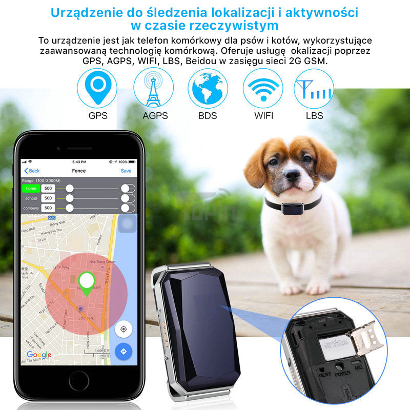 Lokalizator GPS dla psów i kotów