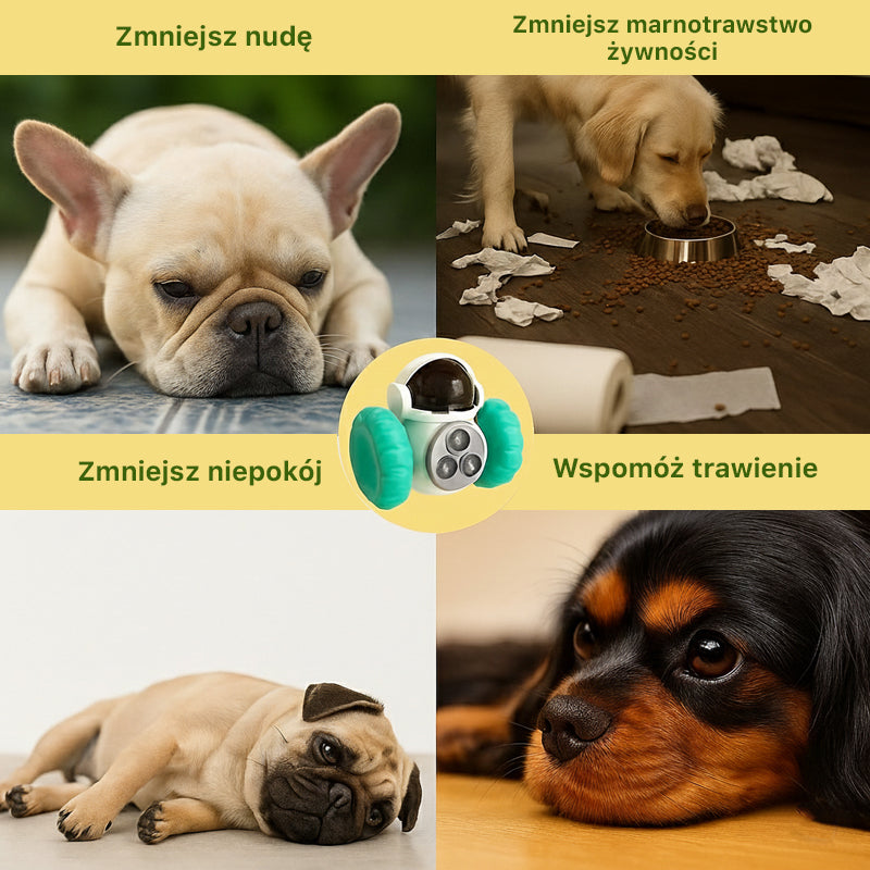 Inteligentny dozownik karmy dla małych zwierząt