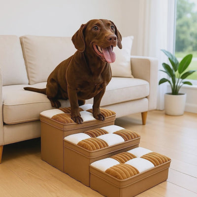 Stylowe ręcznie wykonane schodki dla psa z wzorem w kratkę i przestrzenią do przechowywania